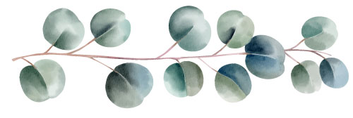 Fondo de flores